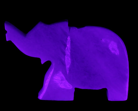 White Jade hand-carved Elephant platter 152*102*21mm 419g in UV light - Rocks and Things Store
