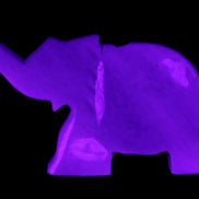 White Jade hand-carved Elephant platter 152*102*21mm 419g in UV light - Rocks and Things Store