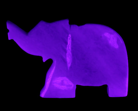 White Jade hand-carved Elephant platter 152*102*21mm 419g in UV light - Rocks and Things Store