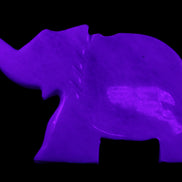 White Jade hand-carved Elephant platter 152*102*21mm 419g in UV light - Rocks and Things Store