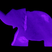 White Jade hand-carved Elephant platter 152*102*21mm 419g in UV light - Rocks and Things Store