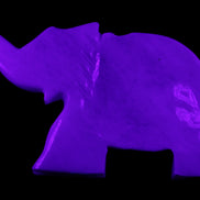 White Jade hand-carved Elephant platter 152*102*21mm 419g in UV light - Rocks and Things Store
