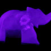 White Jade hand-carved Elephant platter 152*102*21mm 419g in UV light - Rocks and Things Store