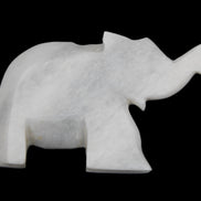 White Jade hand-carved Elephant platter 152*102*21mm 419g in sunlight - Rocks and Things Store