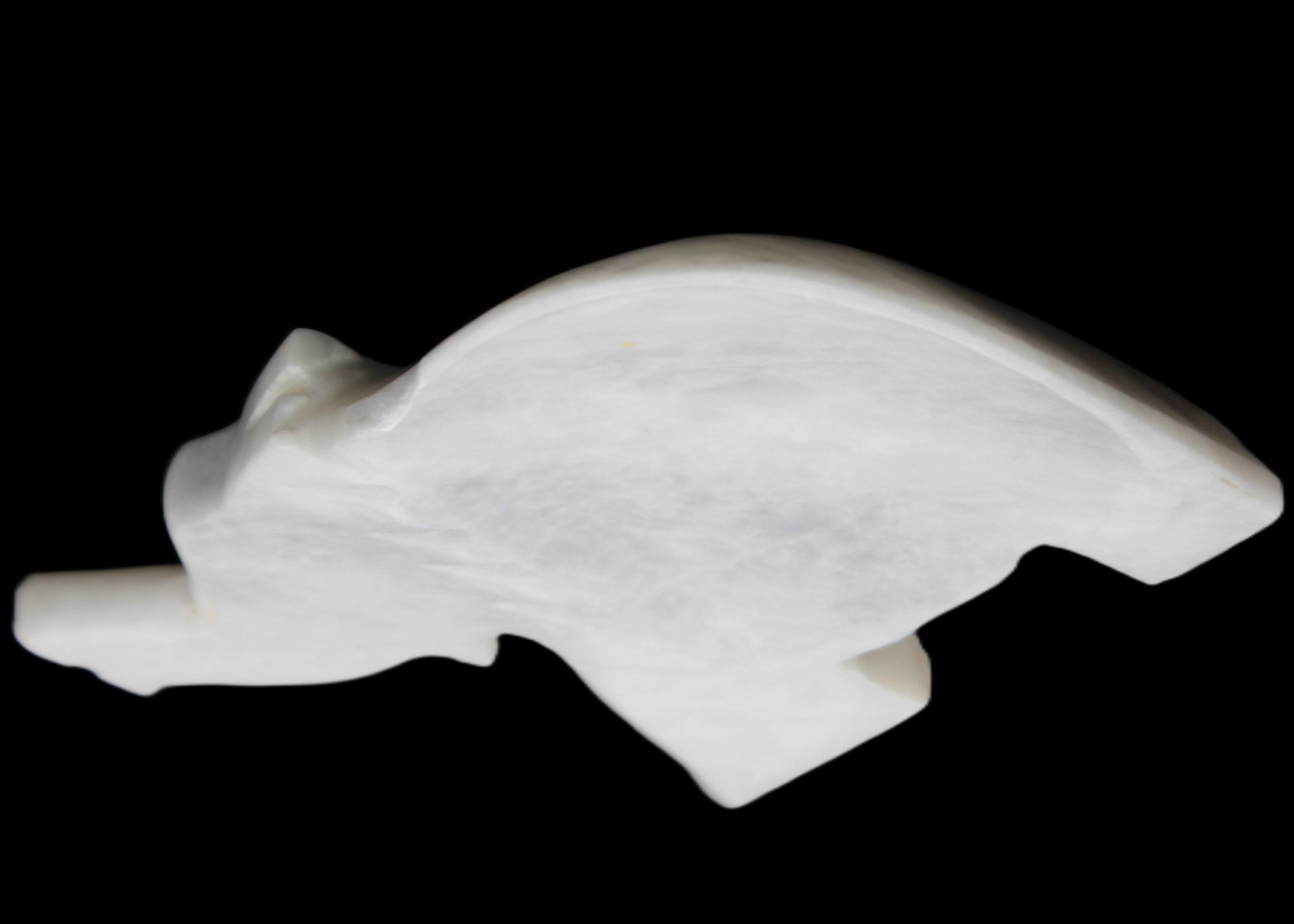 White Jade hand-carved Elephant platter 152*102*21mm 419g in sunlight - Rocks and Things Store