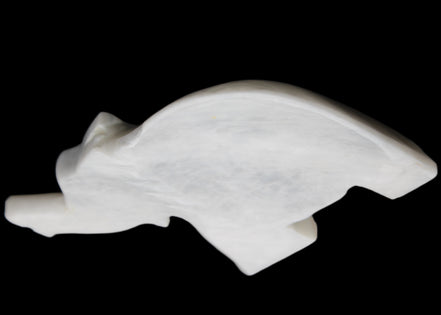 White Jade hand-carved Elephant platter 152*102*21mm 419g in sunlight - Rocks and Things Store