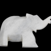 White Jade hand-carved Elephant platter 152*102*21mm 419g in sunlight - Rocks and Things Store