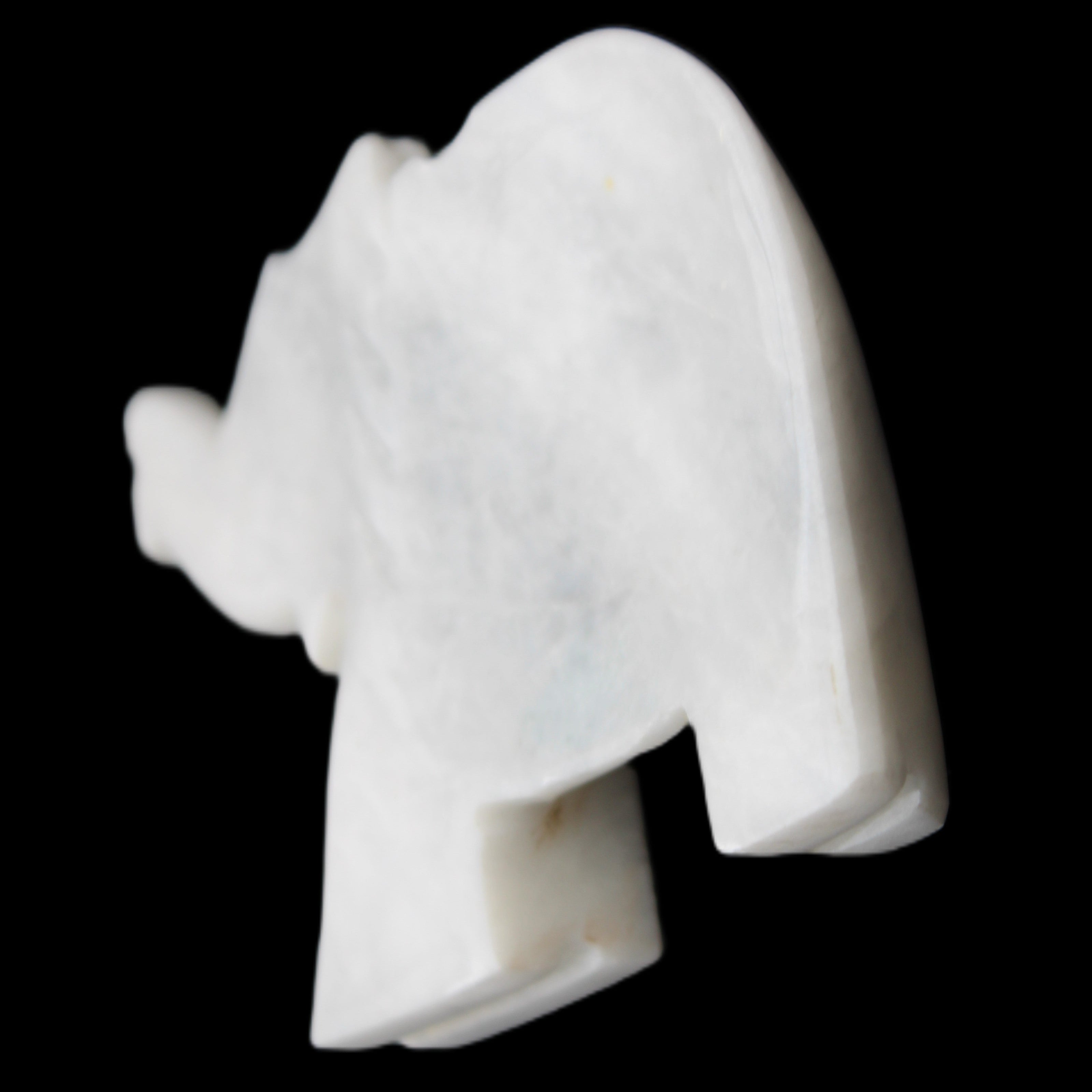 White Jade hand-carved Elephant platter 152*102*21mm 419g in sunlight - Rocks and Things Store