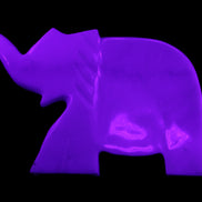 White Jade hand-carved Elephant platter 146*100*25mm 500g in UV light - Rocks and Things Store