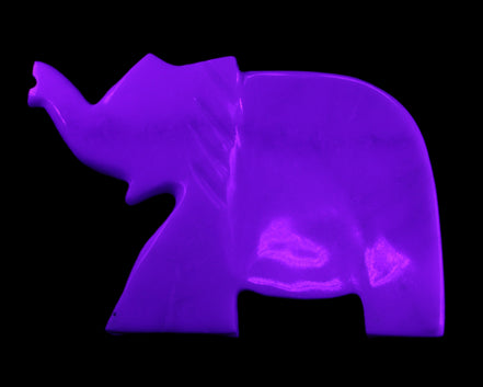 White Jade hand-carved Elephant platter 146*100*25mm 500g in UV light - Rocks and Things Store