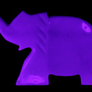 White Jade hand-carved Elephant platter 146*100*25mm 500g in UV light - Rocks and Things Store