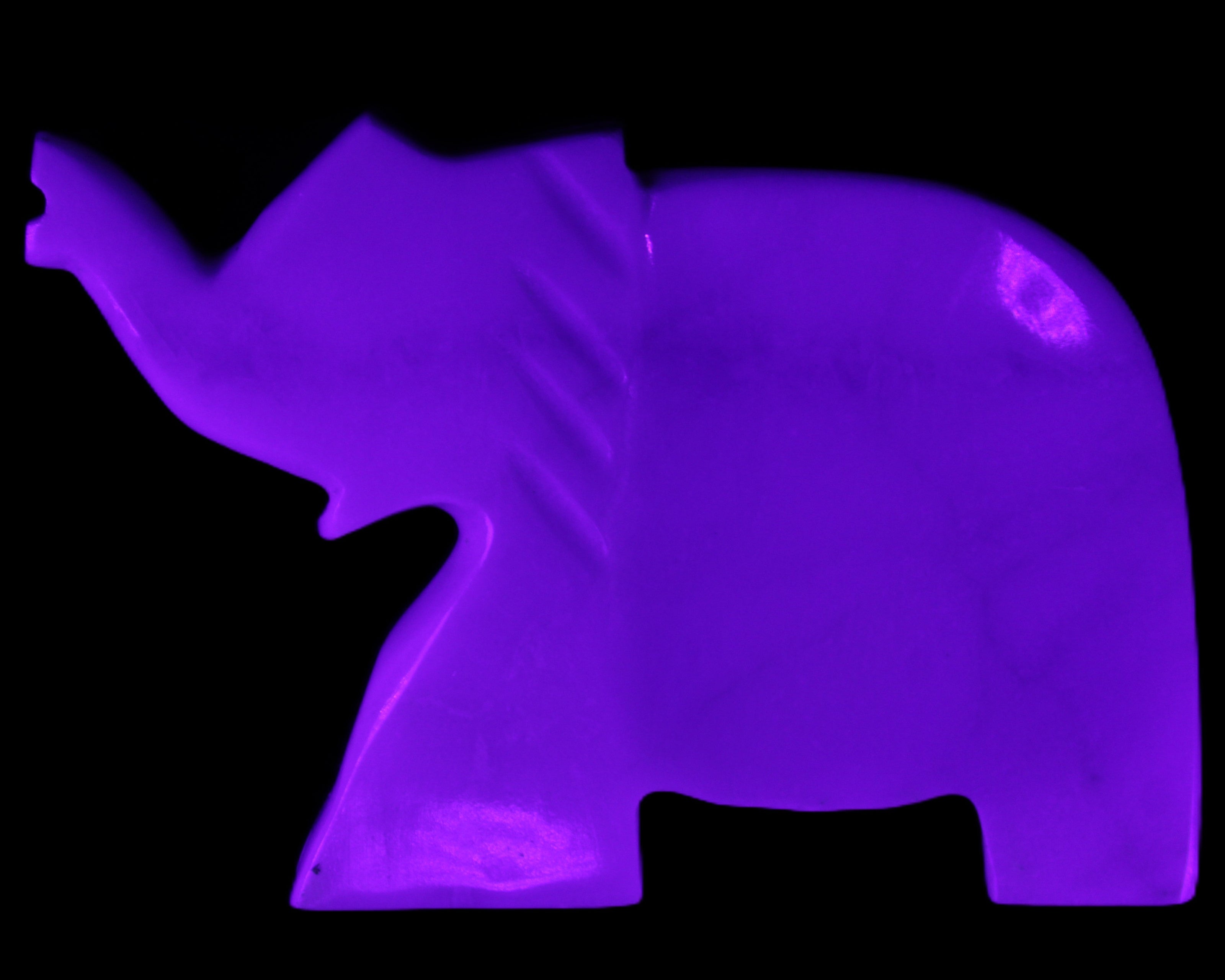 White Jade hand-carved Elephant platter 146*100*25mm 500g in UV light - Rocks and Things Store