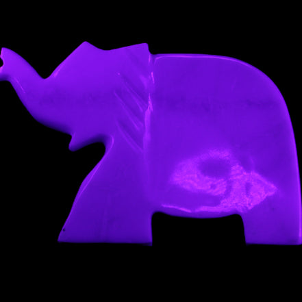 White Jade hand-carved Elephant platter 146*100*25mm 500g in UV light - Rocks and Things Store