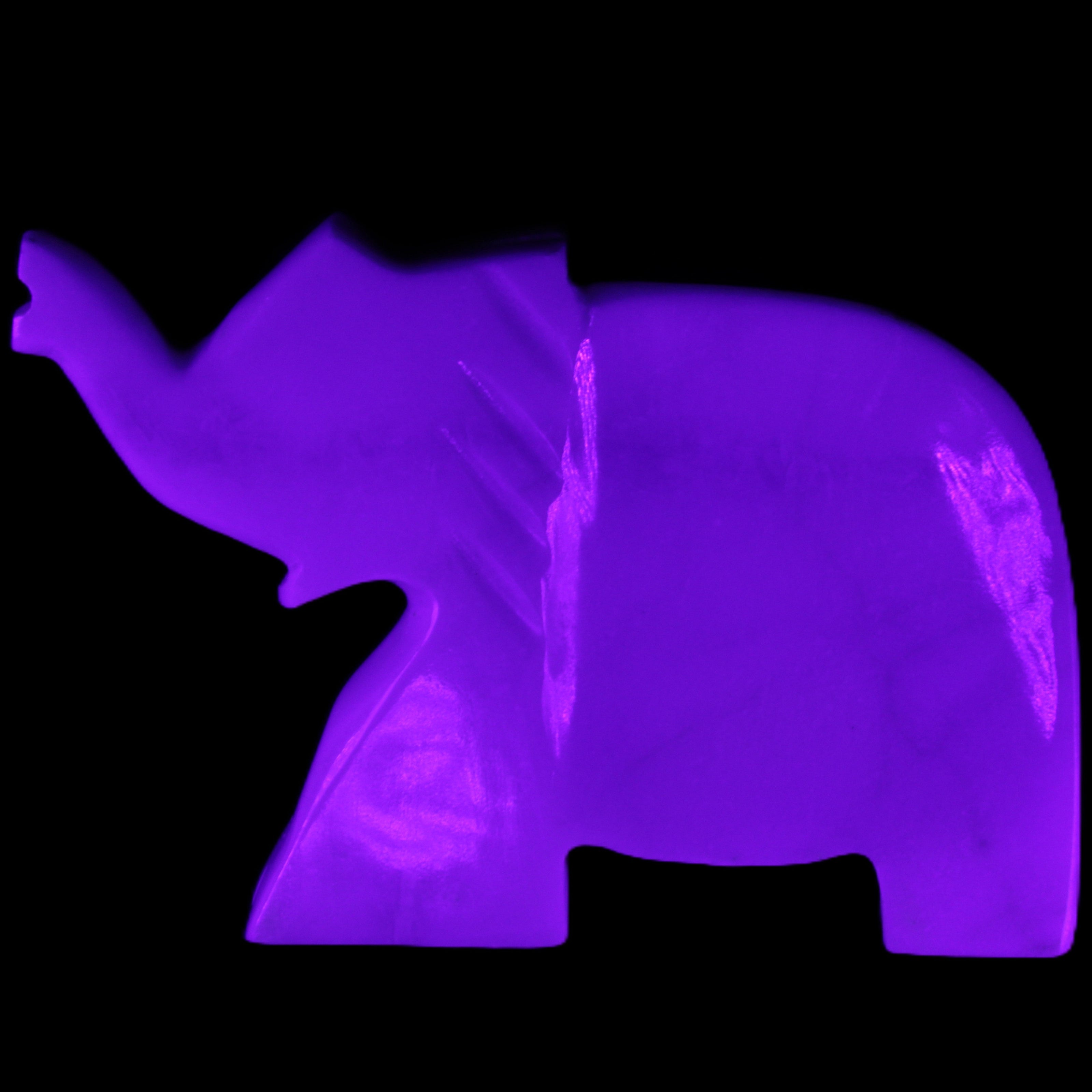 White Jade hand-carved Elephant platter 146*100*25mm 500g in UV light - Rocks and Things Store