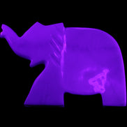 White Jade hand-carved Elephant platter 146*100*25mm 500g in UV light - Rocks and Things Store