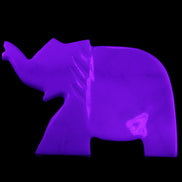 White Jade hand-carved Elephant platter 146*100*25mm 500g in UV light - Rocks and Things Store