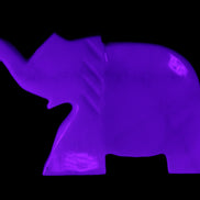 White Jade hand-carved Elephant platter 146*100*25mm 500g in UV light - Rocks and Things Store