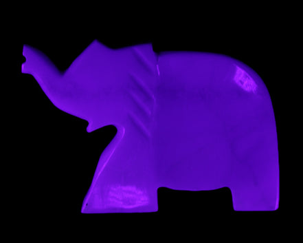 White Jade hand-carved Elephant platter 146*100*25mm 500g in UV light - Rocks and Things Store