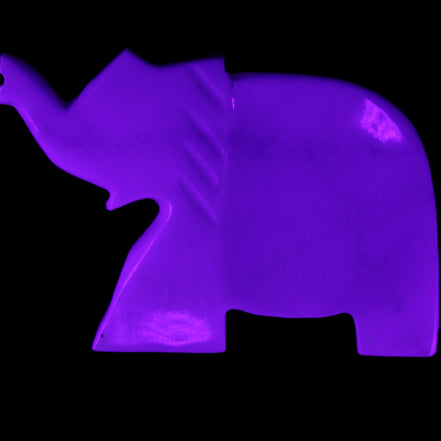 White Jade hand-carved Elephant platter 146*100*25mm 500g in UV light - Rocks and Things Store