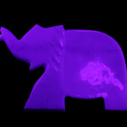 White Jade hand-carved Elephant platter 146*100*25mm 500g in UV light - Rocks and Things Store
