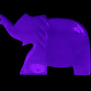 White Jade hand-carved Elephant platter 146*100*25mm 500g in UV light - Rocks and Things Store
