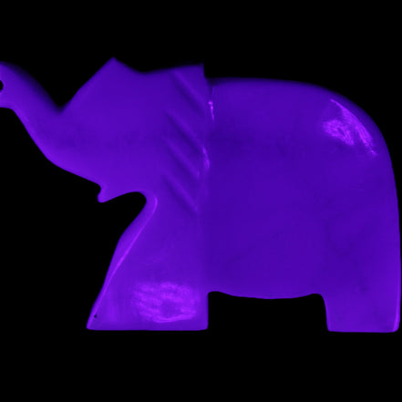 White Jade hand-carved Elephant platter 146*100*25mm 500g in UV light - Rocks and Things Store