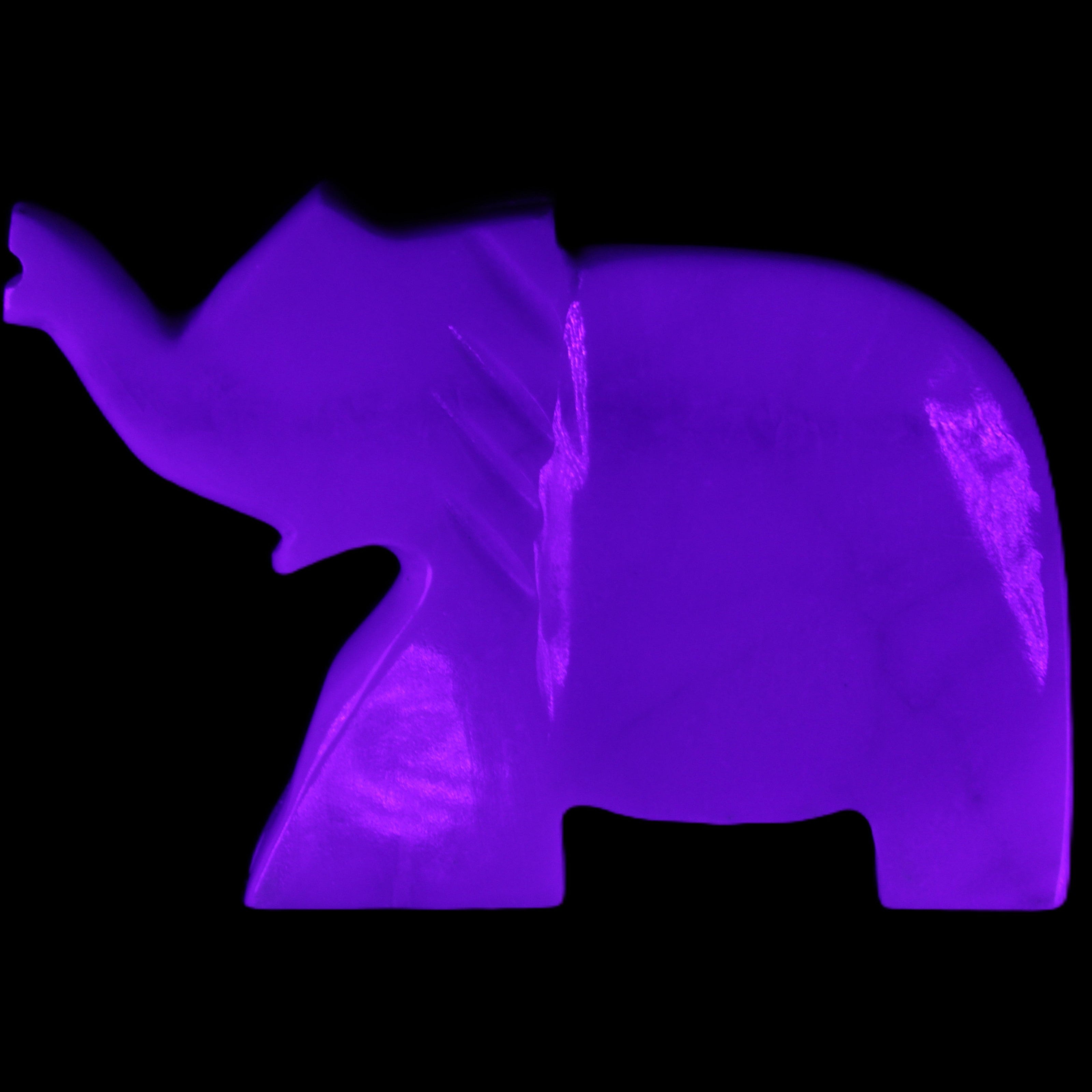 White Jade hand-carved Elephant platter 146*100*25mm 500g in UV light - Rocks and Things Store