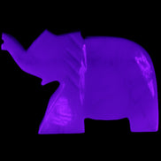 White Jade hand-carved Elephant platter 146*100*25mm 500g in UV light - Rocks and Things Store