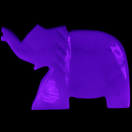White Jade hand-carved Elephant platter 146*100*25mm 500g in UV light - Rocks and Things Store