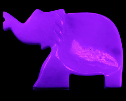White Jade hand-carved Elephant platter 149*100*24mm 458g in UV light - Rocks and Things Store