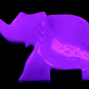 White Jade hand-carved Elephant platter 149*100*24mm 458g in UV light - Rocks and Things Store