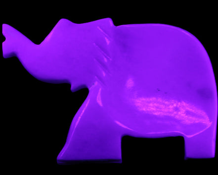 White Jade hand-carved Elephant platter 149*100*24mm 458g in UV light - Rocks and Things Store