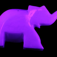 White Jade hand-carved Elephant platter 149*100*24mm 458g in UV light - Rocks and Things Store