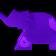 White Jade hand-carved Elephant platter 149*100*24mm 458g in UV light - Rocks and Things Store