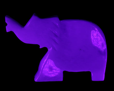 White Jade hand-carved Elephant platter 149*100*24mm 458g in UV light - Rocks and Things Store