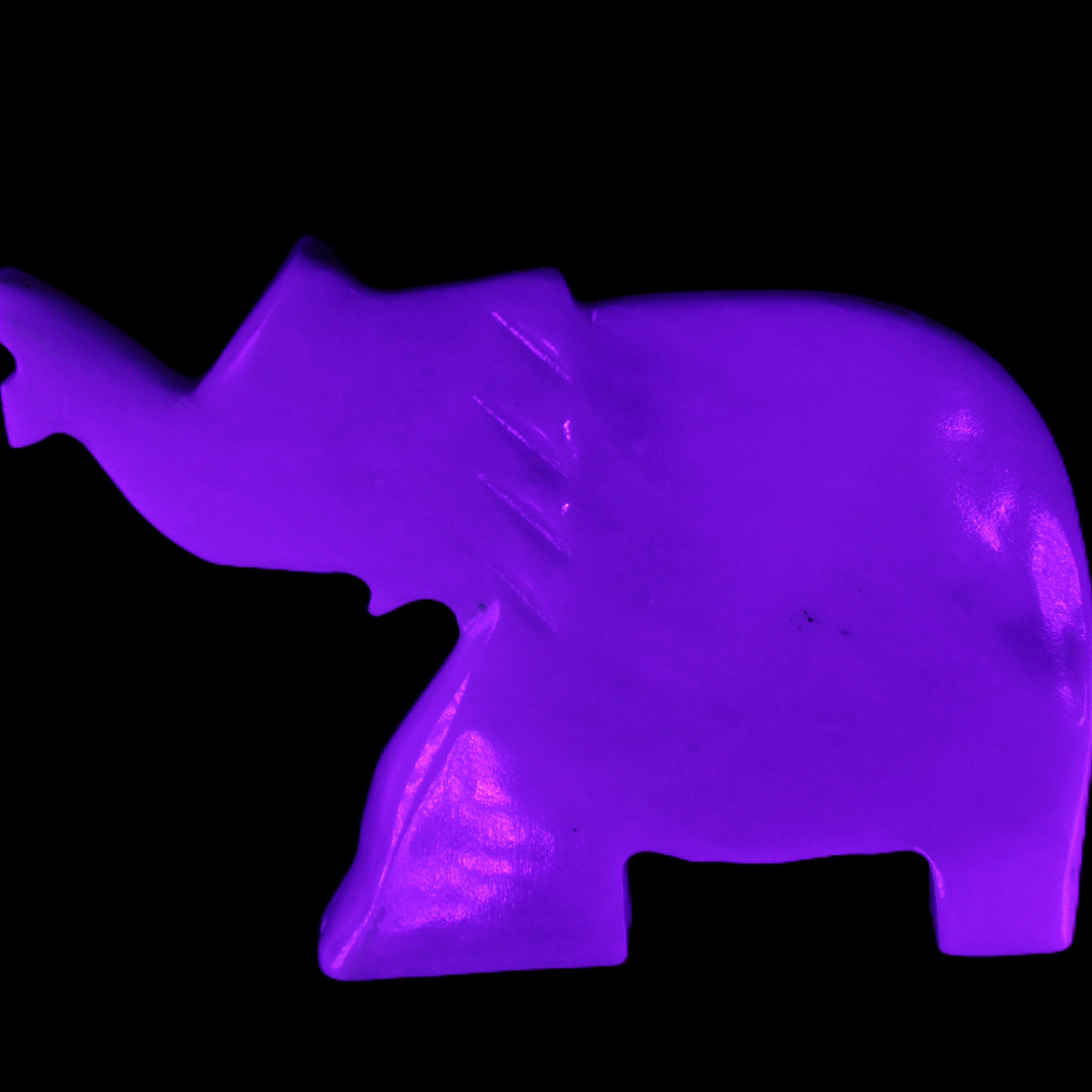 White Jade hand-carved Elephant platter 149*100*24mm 458g in UV light - Rocks and Things Store