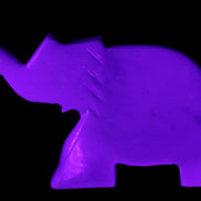 White Jade hand-carved Elephant platter 149*100*24mm 458g in UV light - Rocks and Things Store