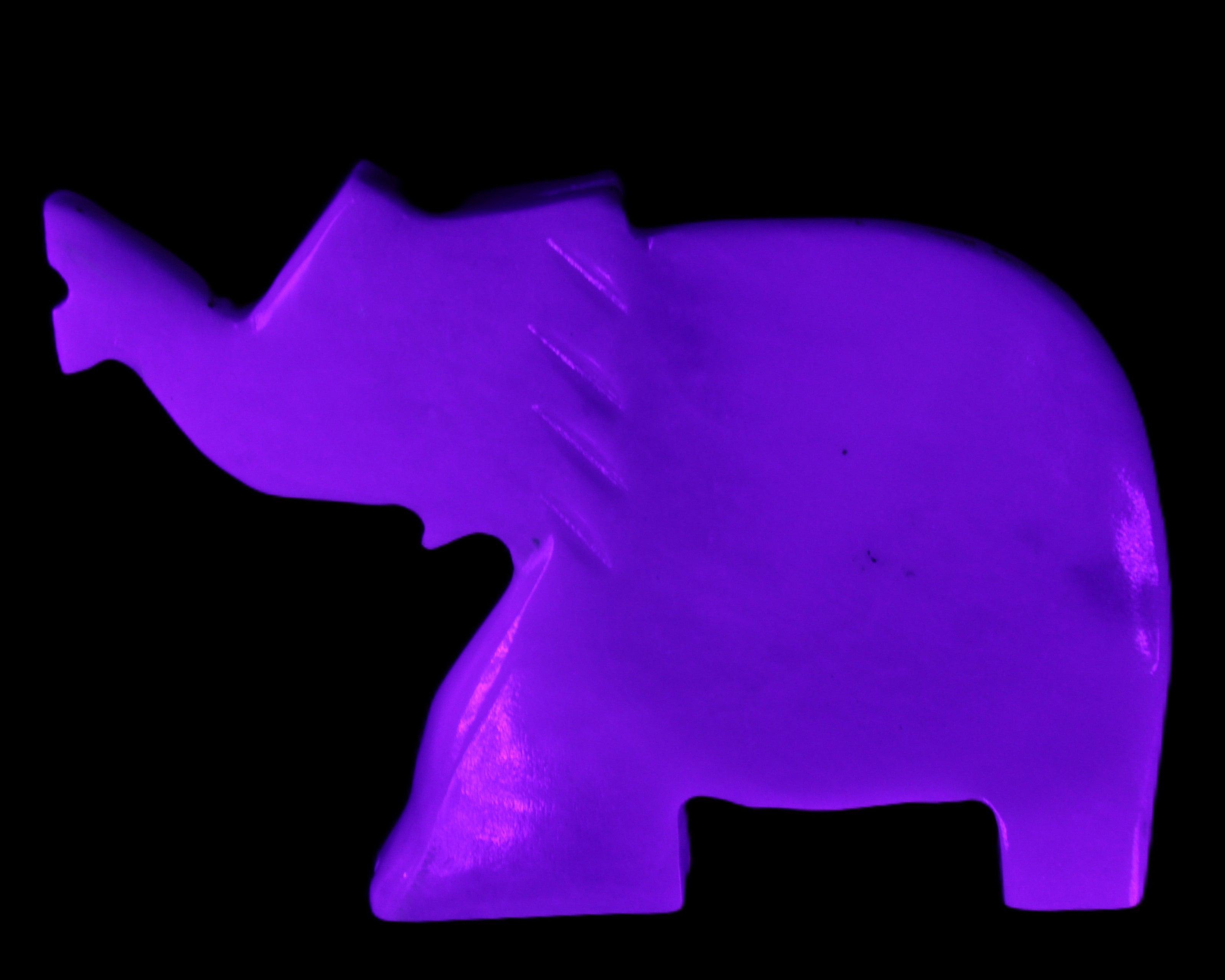 White Jade hand-carved Elephant platter 149*100*24mm 458g in UV light - Rocks and Things Store
