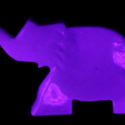 White Jade hand-carved Elephant platter 149*100*24mm 458g in UV light - Rocks and Things Store