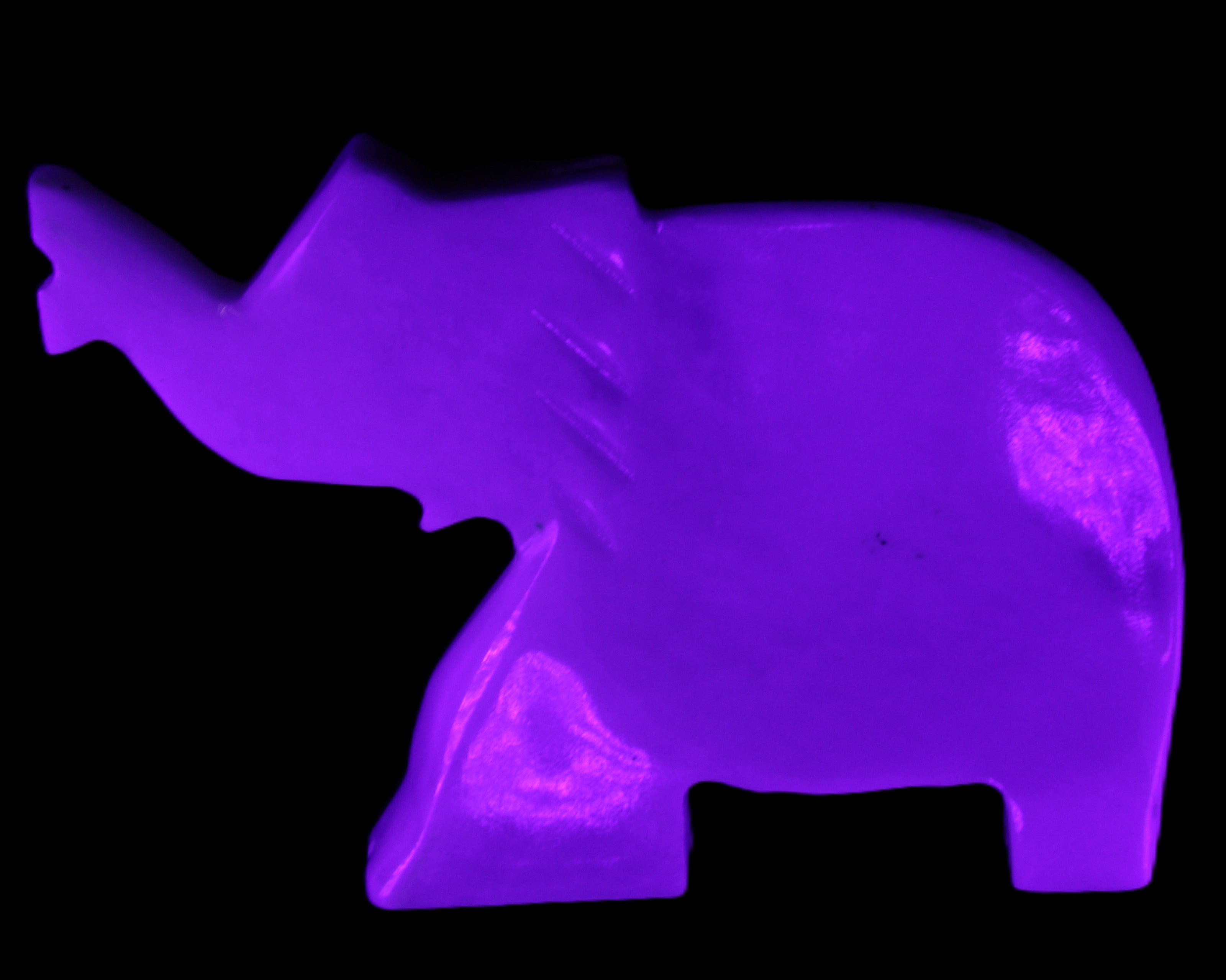 White Jade hand-carved Elephant platter 149*100*24mm 458g in UV light - Rocks and Things Store