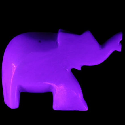 White Jade hand-carved Elephant platter 149*100*24mm 458g in UV light - Rocks and Things Store