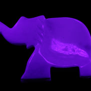 White Jade hand-carved Elephant platter 149*100*24mm 458g in UV light - Rocks and Things Store