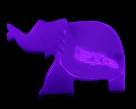 White Jade hand-carved Elephant platter 149*100*24mm 458g in UV light - Rocks and Things Store