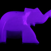 White Jade hand-carved Elephant platter 149*100*24mm 458g in UV light - Rocks and Things Store