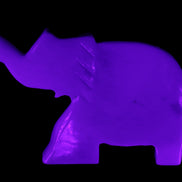 White Jade hand-carved Elephant platter 149*100*24mm 458g in UV light - Rocks and Things Store