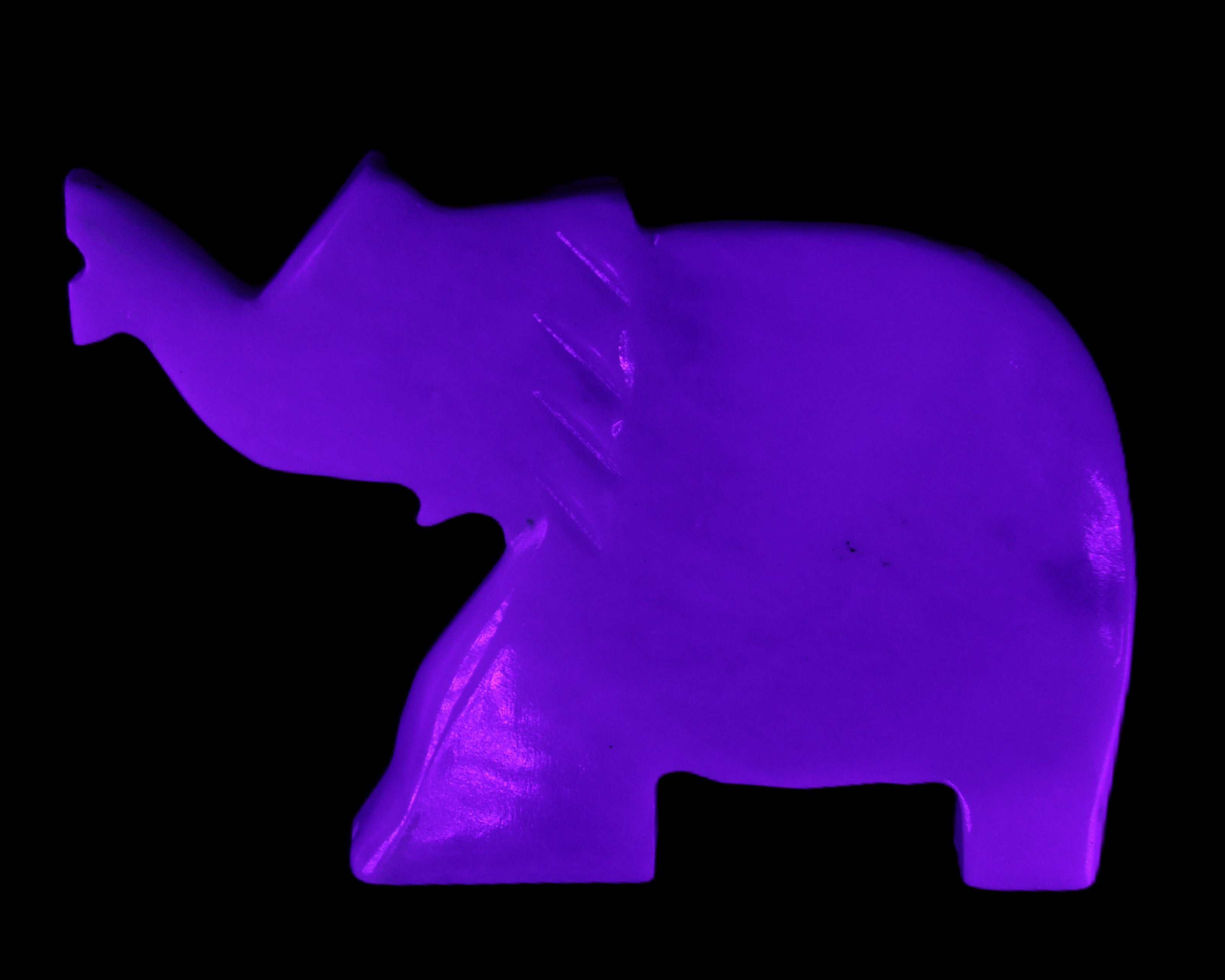 White Jade hand-carved Elephant platter 149*100*24mm 458g in UV light - Rocks and Things Store