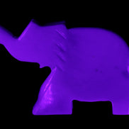 White Jade hand-carved Elephant platter 149*100*24mm 458g in UV light - Rocks and Things Store