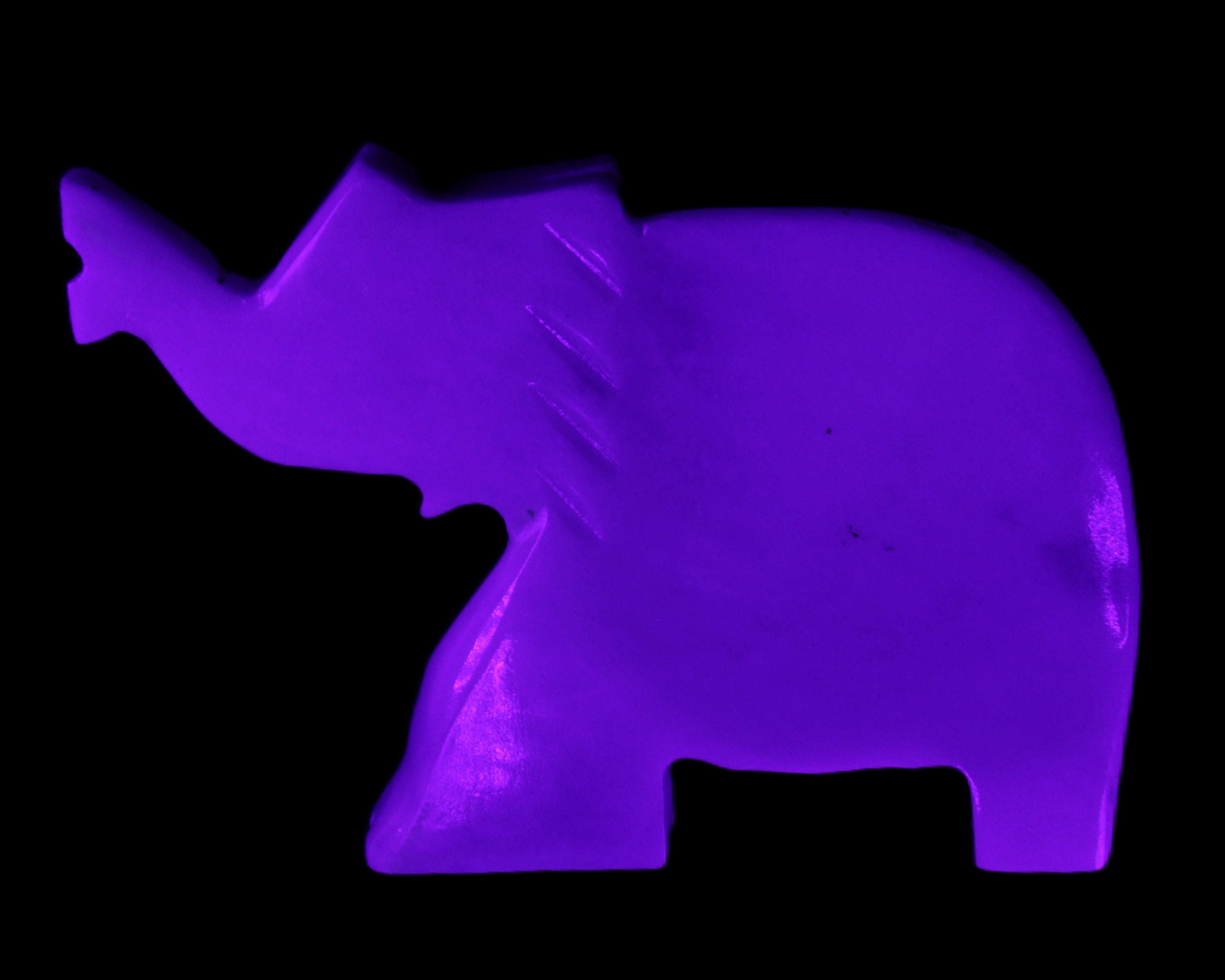 White Jade hand-carved Elephant platter 149*100*24mm 458g in UV light - Rocks and Things Store