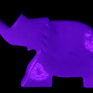 White Jade hand-carved Elephant platter 149*100*24mm 458g in UV light - Rocks and Things Store