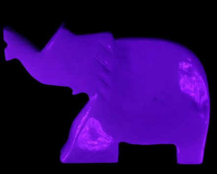 White Jade hand-carved Elephant platter 149*100*24mm 458g in UV light - Rocks and Things Store